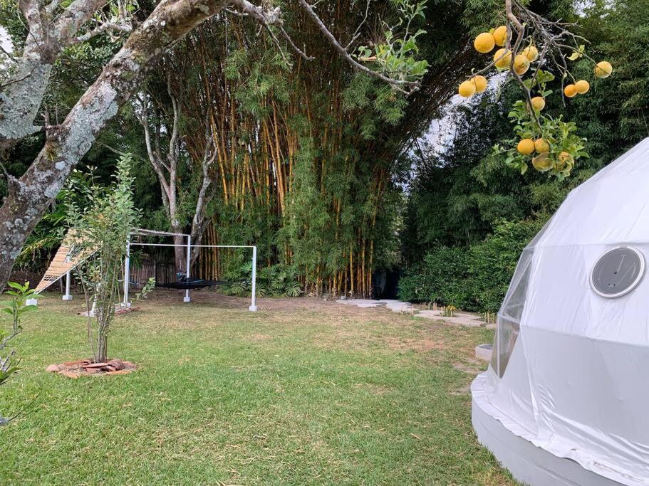 Apartamento Dome In The Heart Of Boquete. Exterior foto