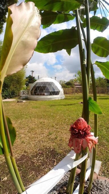 Apartamento Dome In The Heart Of Boquete. Exterior foto
